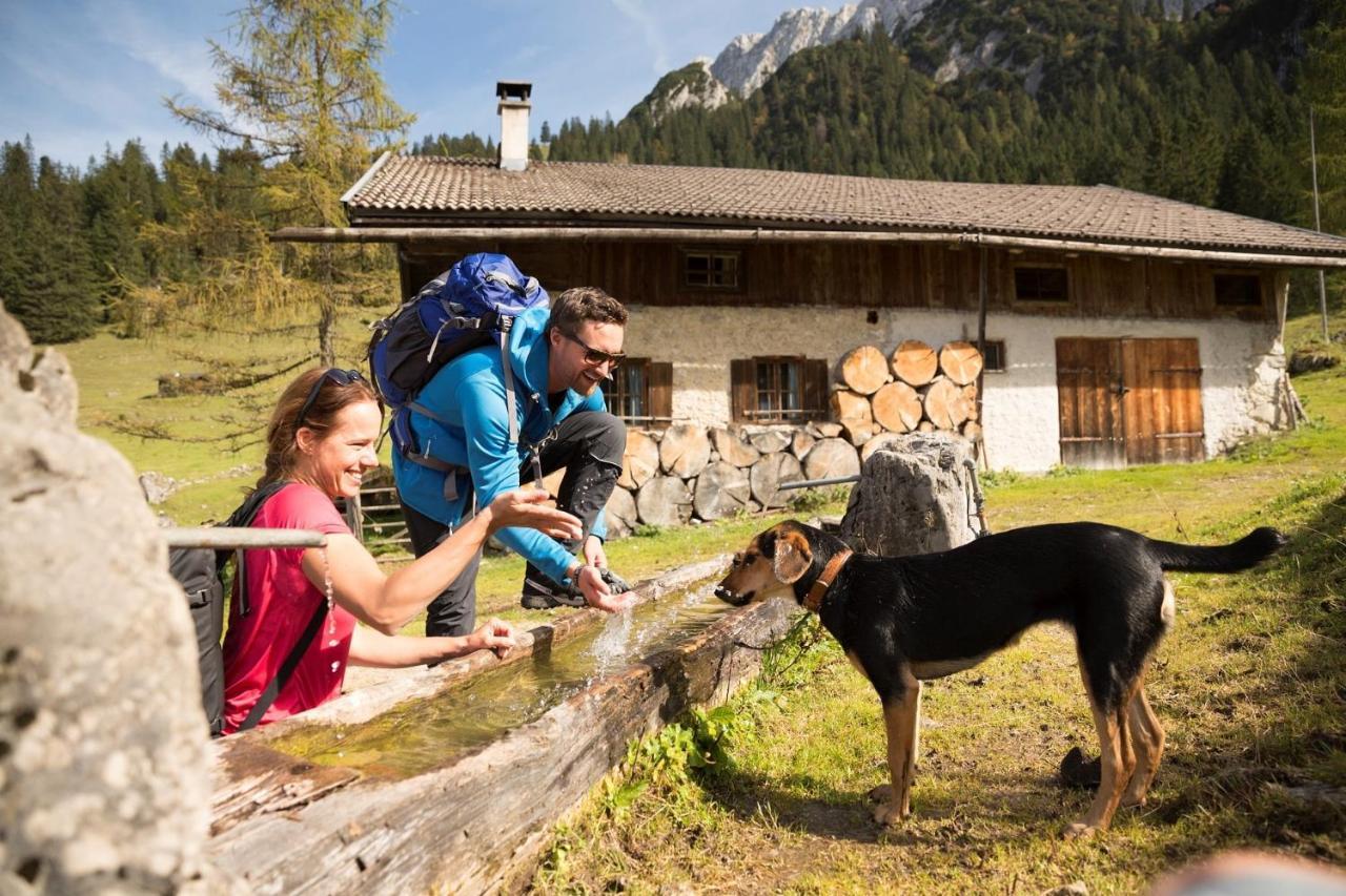Alpenlodge, Ferienwohnung 16 Thiersee Dış mekan fotoğraf